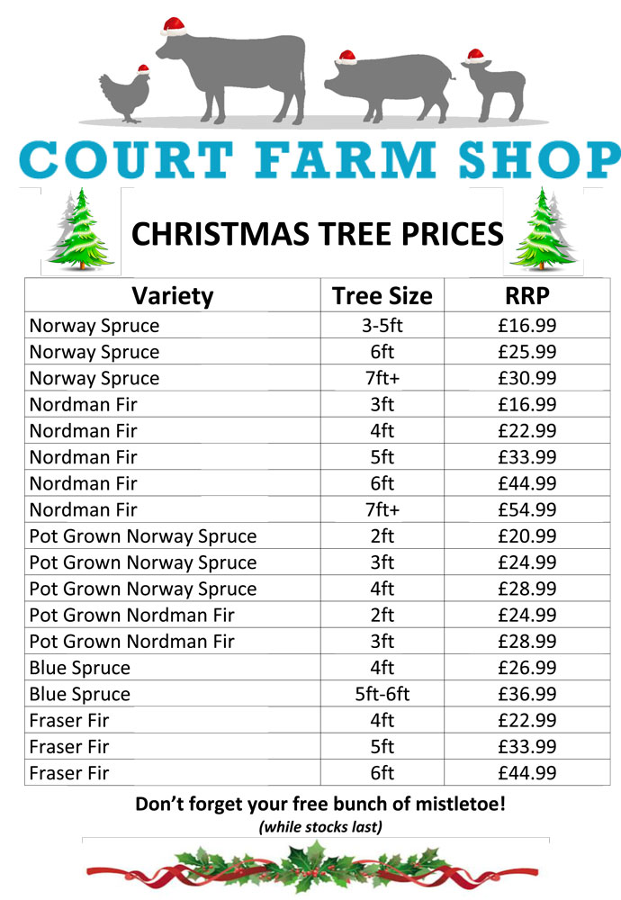 A3-Christmas-Tree-Sign-2017-Prices